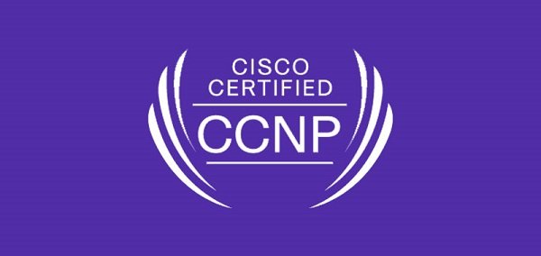 The Interpretation of Cisco CCIE Certification Syllabus