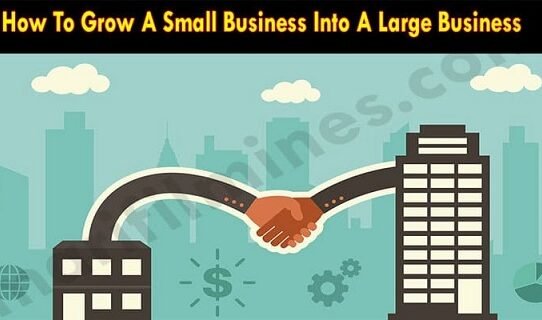 How-To-Grow-A-Small-Business-Into-A-Large-Business-2021