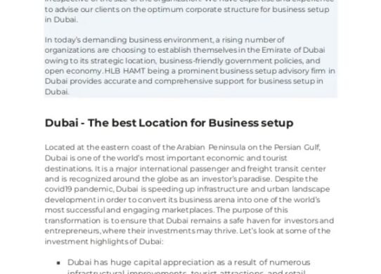 Expertise of Firm setup in Dubai