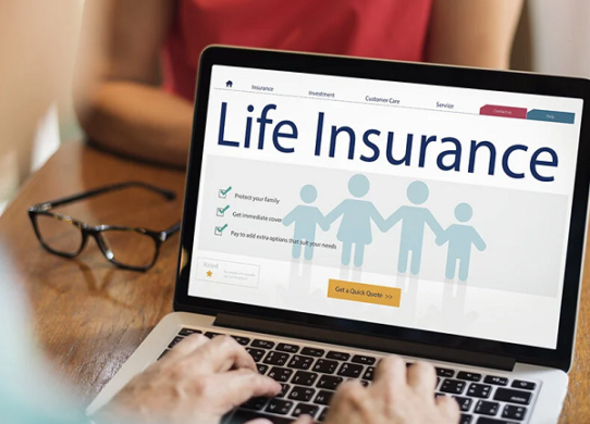 Definition and Types Of Life Insurance Plan